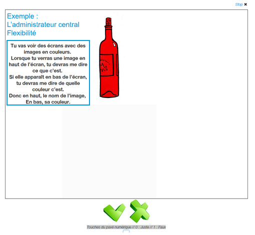 Image sur le produit Mémoire de Travail