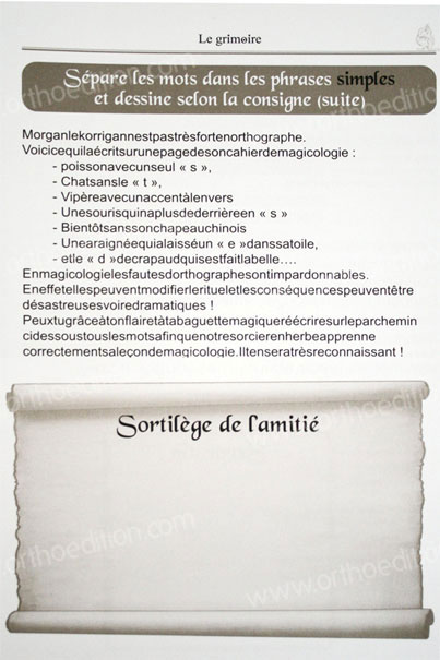 Image sur le produit Le grimoire magilexique