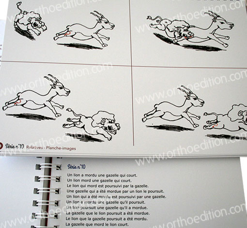 Image sur le produit Le phénix