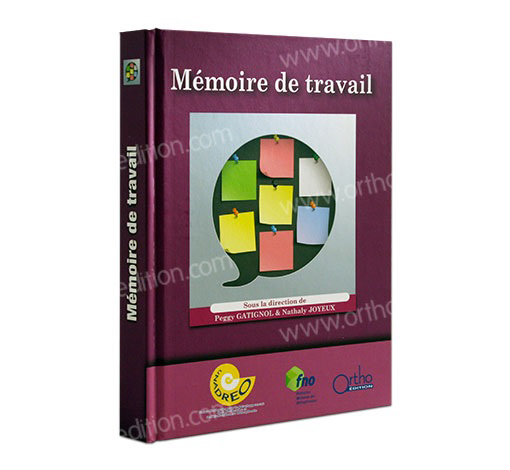 Image principale de Mémoire de Travail : Actes 2015