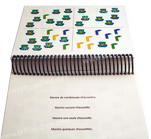 Image sur le produit Les dragons de la compréhension