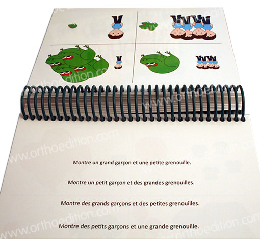 Image sur le produit Les dragons de la compréhension