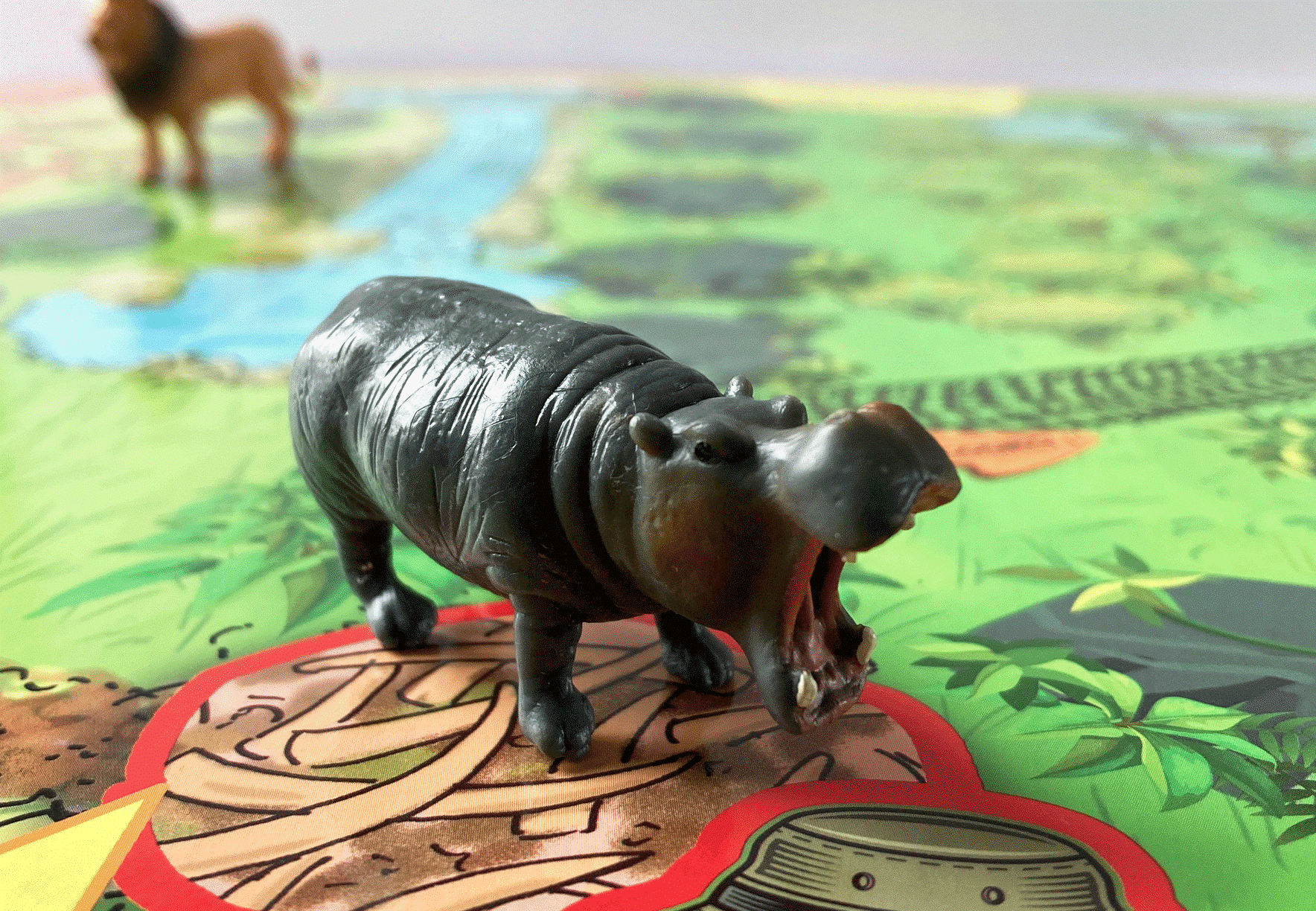 Image sur le produit Partons en safari