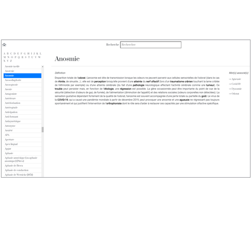 Image sur le produit Dictionnaire d'Orthophonie*