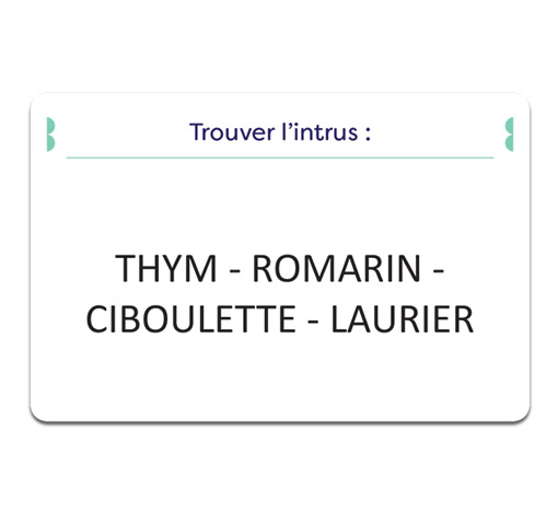 Image sur le produit LexicoSem