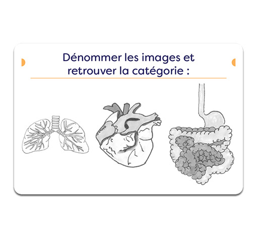 Image sur le produit LexicoSem