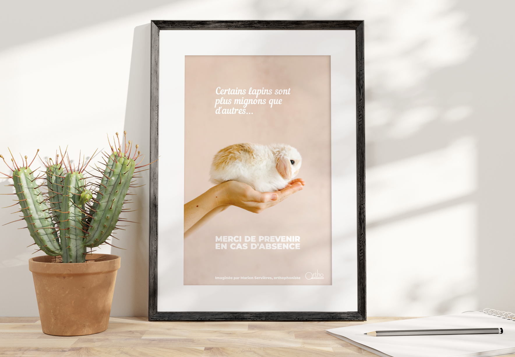 Image principale de Affiche A2- Lapins