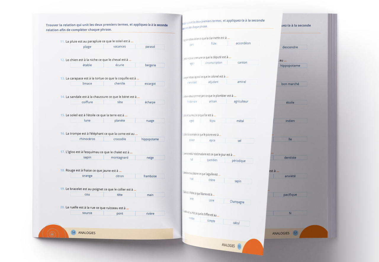 Image sur le produit PENSER EN ACTION ? AGIR EN PENSÉE ? Le guide des activités mentales