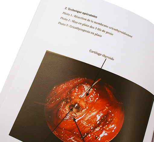 Image sur le produit Voix et transidentités (Version poche)