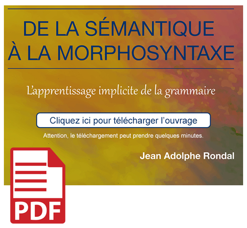 Image principale de De la sémantique à la morphosyntaxe (pdf)