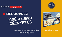 Image de Irréguliers décryptés, produit d'Ortho Édition