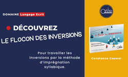 Image de Le flocon des inversions, produit d'Ortho Édition