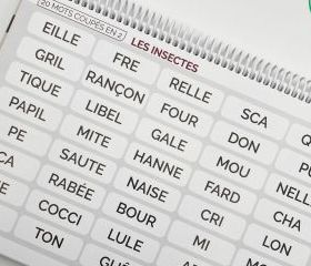 Image de Mots coupés en 2, produit d'Ortho Édition