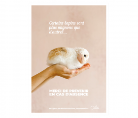 Image de Affiche A2- Lapins, produit d'Ortho Édition
