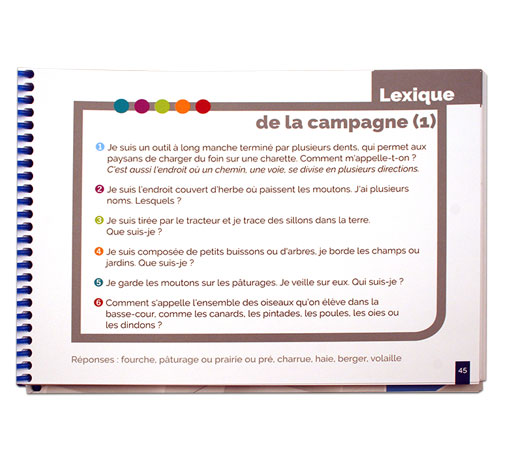 Image de Le lexique en devinettes, produit d'Ortho Édition