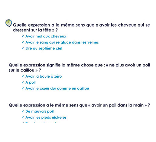 Image de Métaphores (pdf), produit d'Ortho Édition