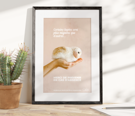 Image du produit Affiche A2- Lapins