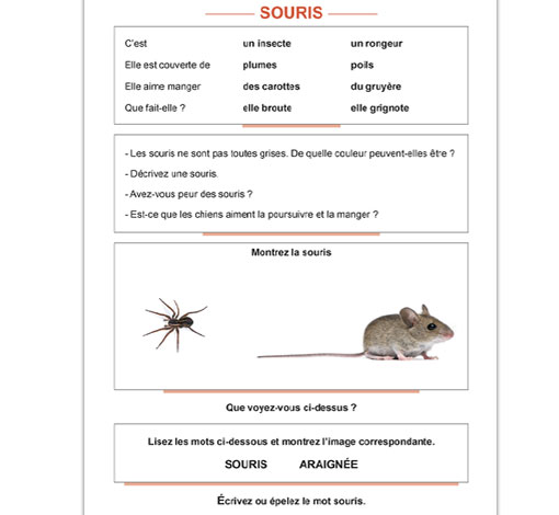 Image de Prise en charge des troubles lexico-sémantiques, produit d'Ortho Édition