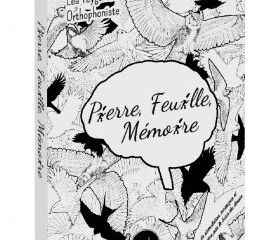 Image du produit Pierre, Feuille, Mémoire