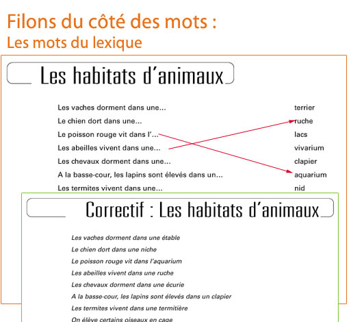 Image de Le fil (pdf), produit d'Ortho Édition