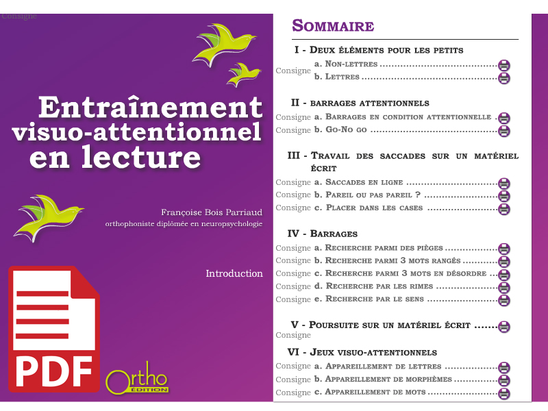 Entraînement Visuo Attentionnel En Lecture Pdf - 